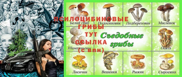 ГАЛЛЮЦИНОГЕННЫЕ ГРИБЫ Алексеевка