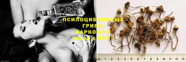 каннабис Алзамай