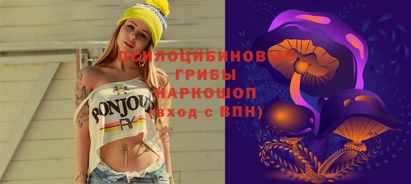 ГАЛЛЮЦИНОГЕННЫЕ ГРИБЫ Алексеевка