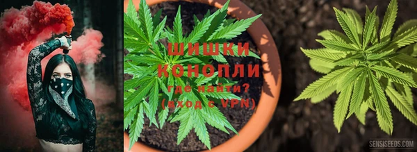 ГАЛЛЮЦИНОГЕННЫЕ ГРИБЫ Алексеевка